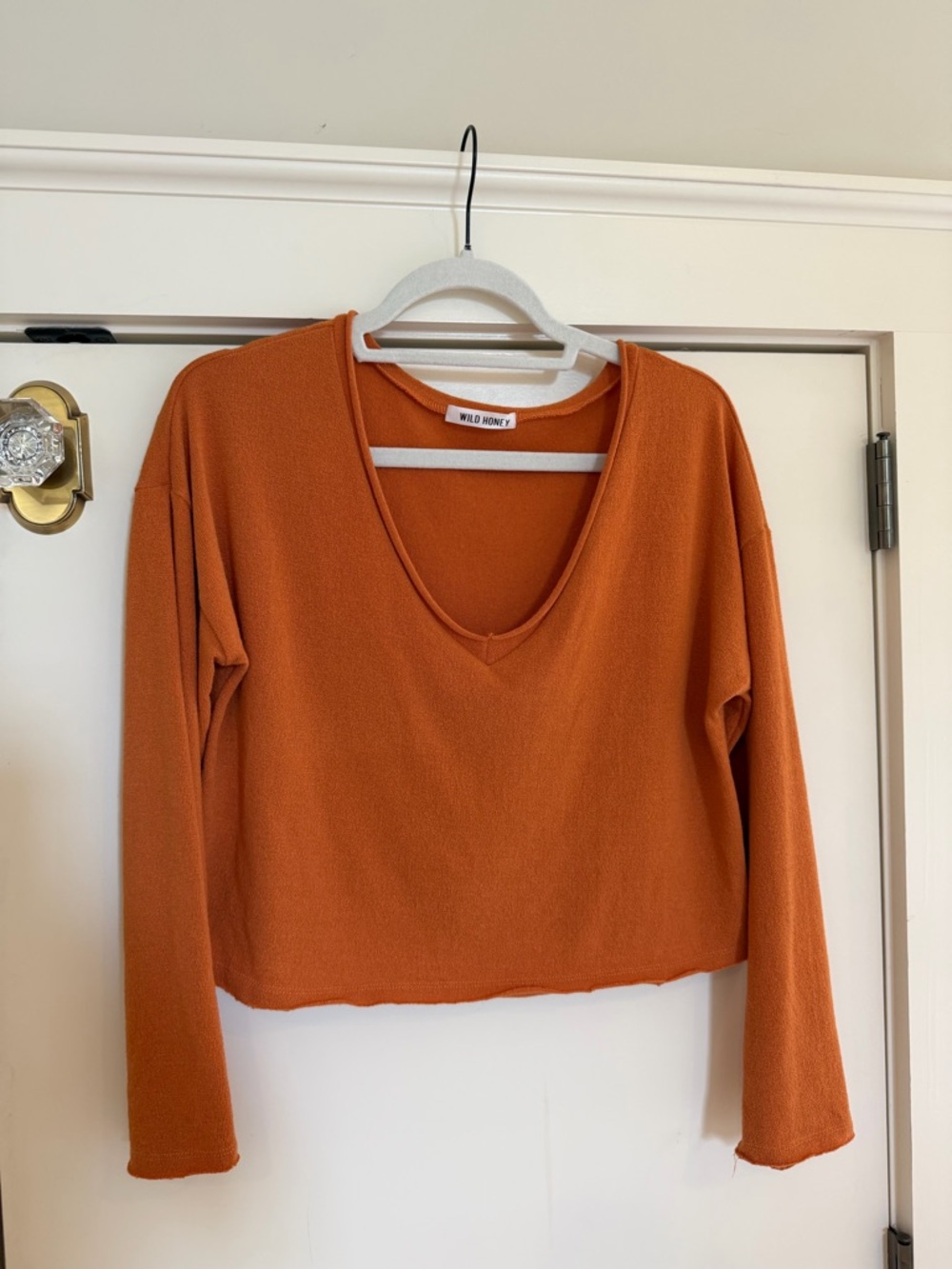 Wild Honey Lightweight V-Neck Sweater